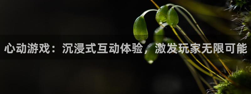 千亿官方网站na