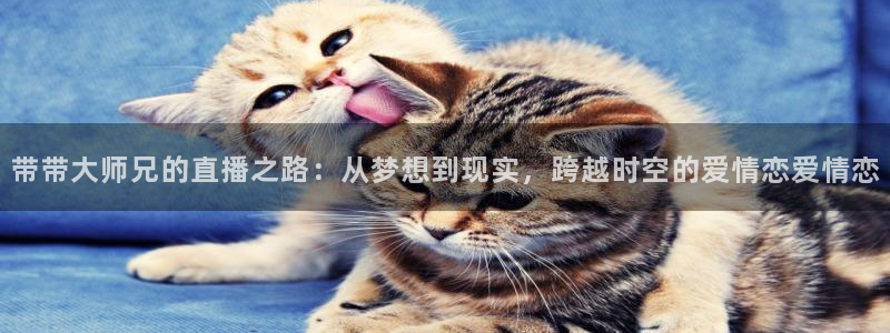 蜘蛛直播球地带：带带大师兄的直播之路：从梦想到现实，跨越时空的爱情恋爱情恋