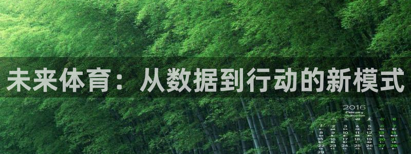 蜘蛛体育nba：未来体育：从数据到行动的新模式
