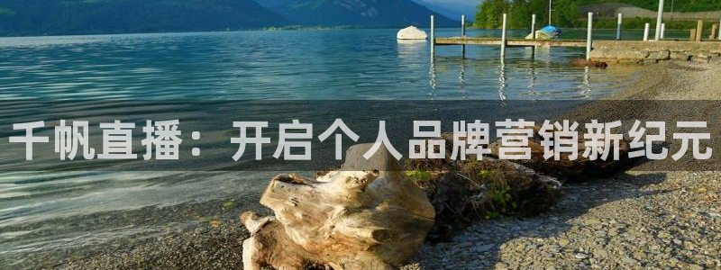 蜘蛛直播nba免费：千帆直播：开启个人品牌营销新纪元