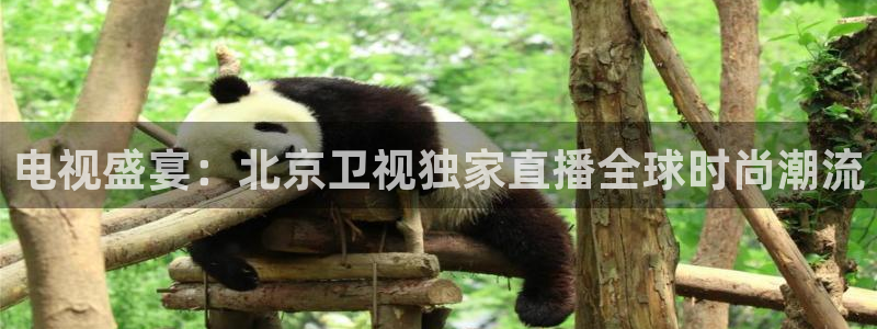nba直播免费观看直播在线蜘蛛：电视盛宴：北京卫视独家直播全球时尚潮流