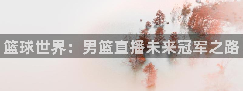 蜘蛛体育免费直播nba：篮球世界：男篮直播未来冠军之路