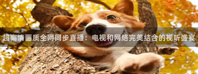 nba直播免费观看直播在线蜘蛛直播：超高清画质全网同步直播：电视和网络完美结合的视听盛宴