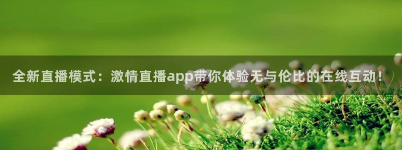蜘蛛nba直播免费观看：全新直播模式：激情直播app带你体验无与伦比的在线互动！