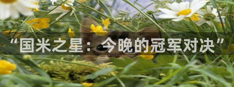 足球小蜘蛛：“国米之星：今晚的冠军对决”