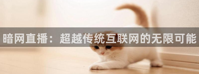 蜘蛛体育免费直播：暗网直播：超越传统互联网的无限可能