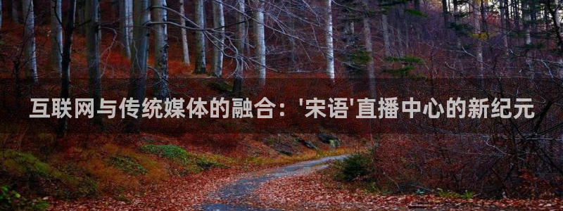 nba蜘蛛免费直播：互联网与传统媒体的融合：\'宋语\'直播中心的新纪元