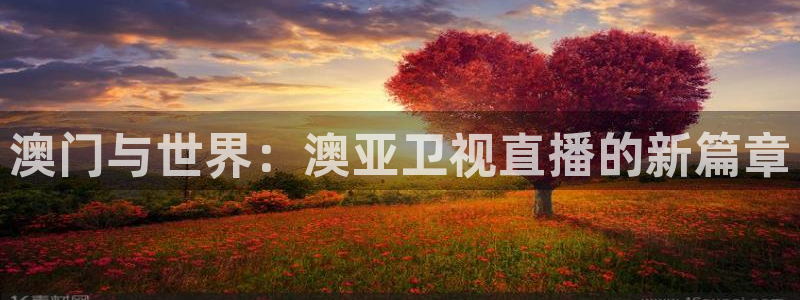 蜘蛛nba免费直播在线观看高清：澳门与世界：澳亚卫视直播的新篇章